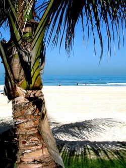 Beach in Dubai